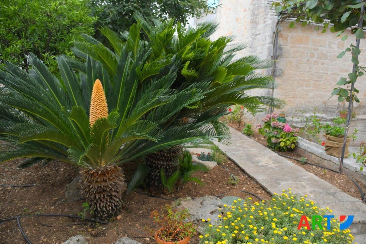 فيلا Trullo Al Vicoletto Al Civico 10, Civico 8, Civico 7 ألبيروبيللو المظهر الخارجي الصورة