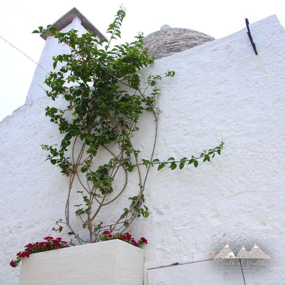 فيلا Trullo Al Vicoletto Al Civico 10, Civico 8, Civico 7 ألبيروبيللو المظهر الخارجي الصورة