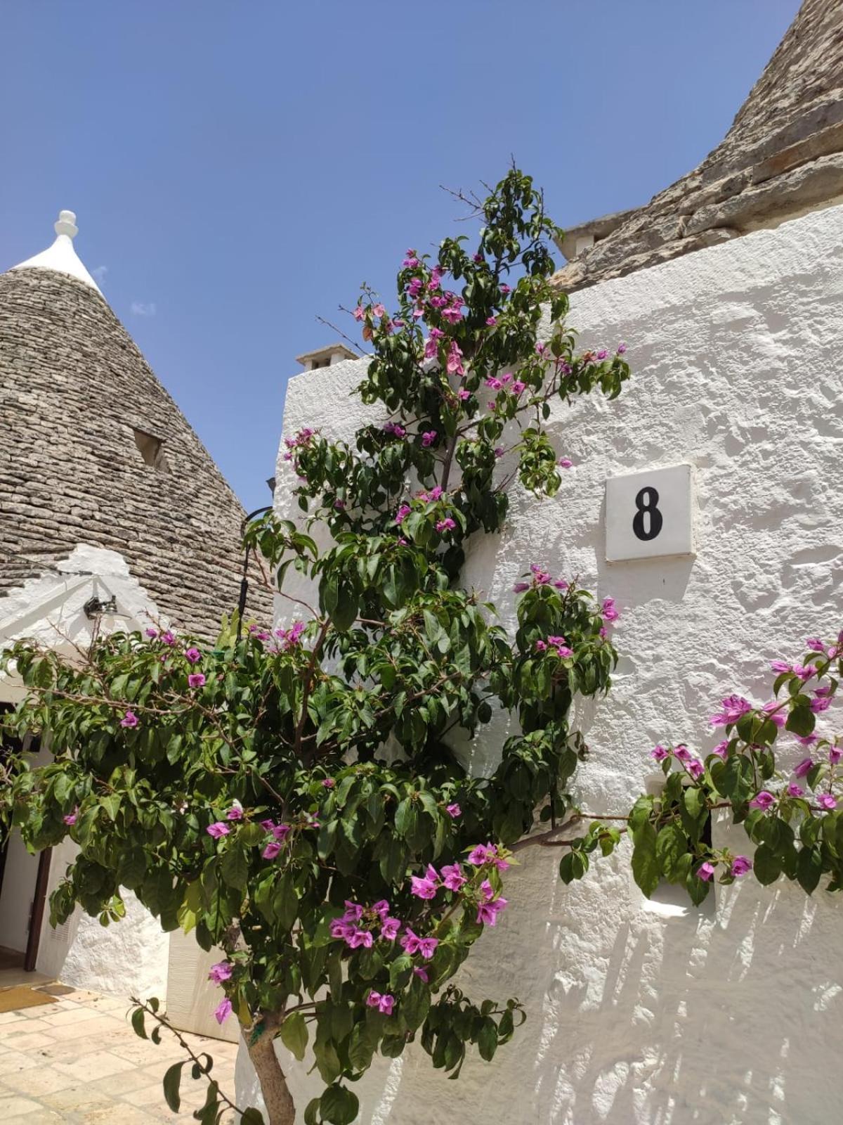 فيلا Trullo Al Vicoletto Al Civico 10, Civico 8, Civico 7 ألبيروبيللو المظهر الخارجي الصورة